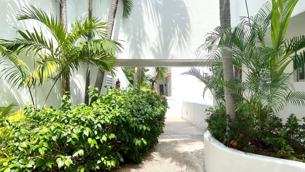 Photo of Others in Ixtapa