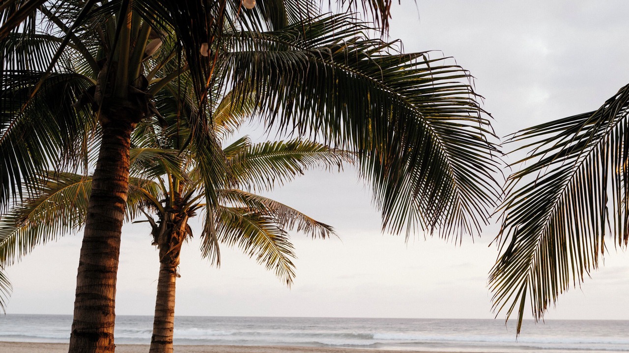 Photo of Outdoor in Troncones