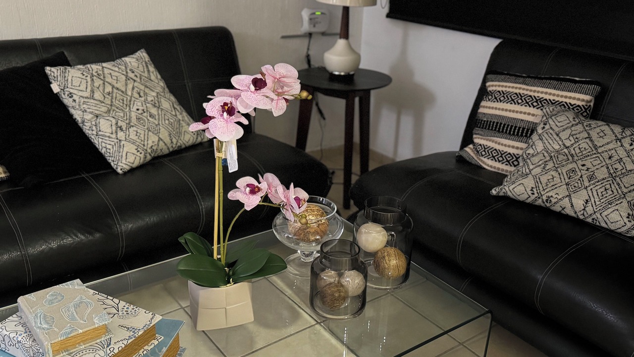 Photo of Livingroom in Mazatlan