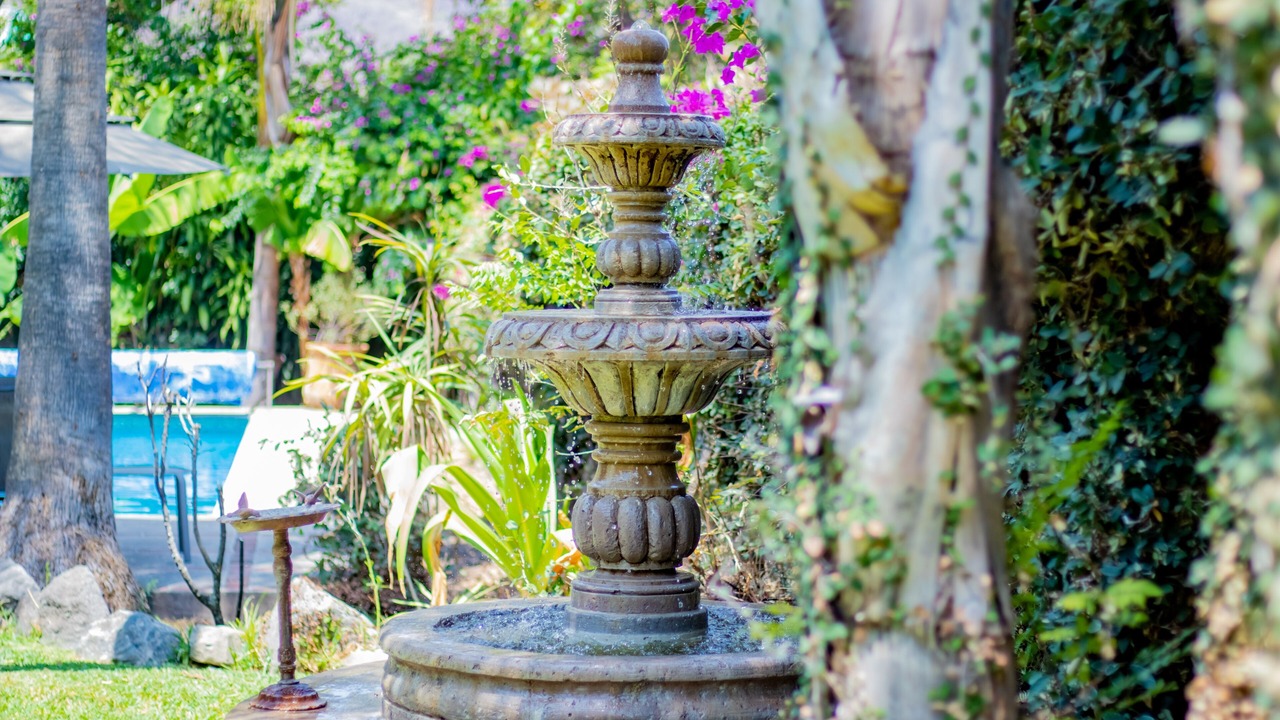 Photo of Outdoor in Ajijic