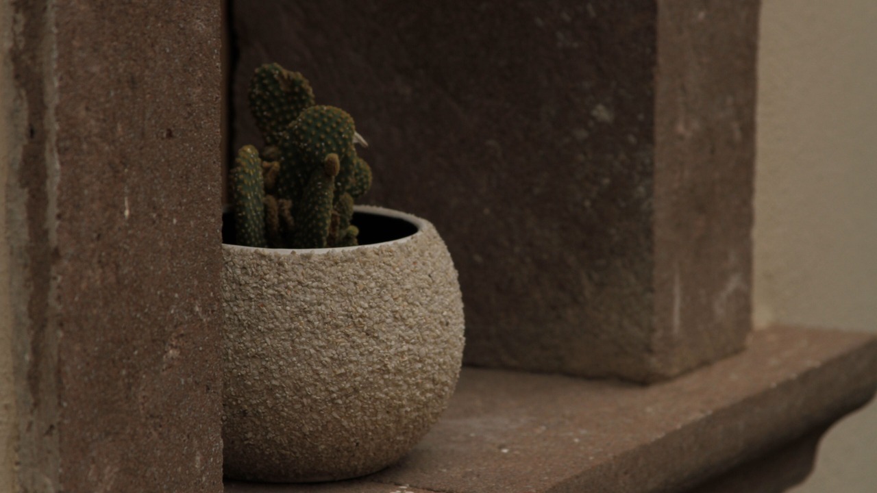 Photo of Outdoor in Centro Historico