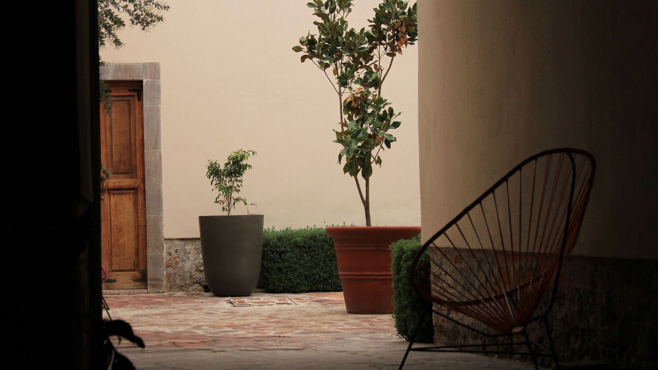 Photo of Outdoor in Centro Historico