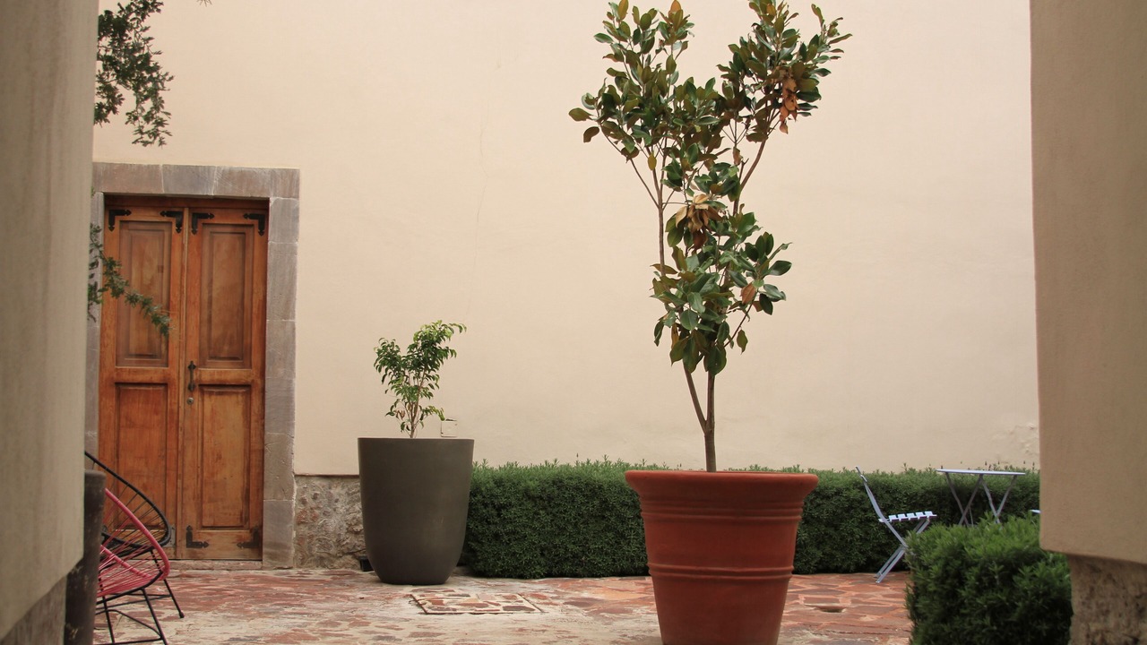 Photo of Outdoor in Centro Historico