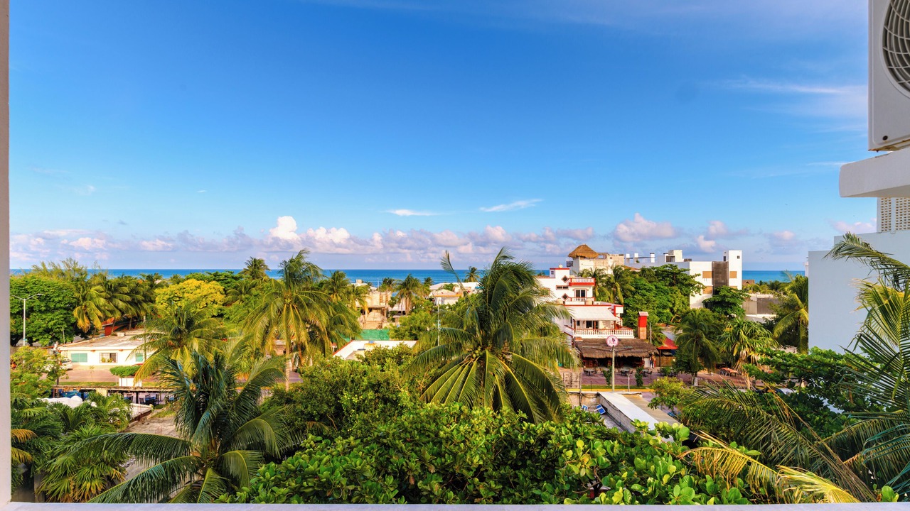 Photo of Others in Puerto Morelos