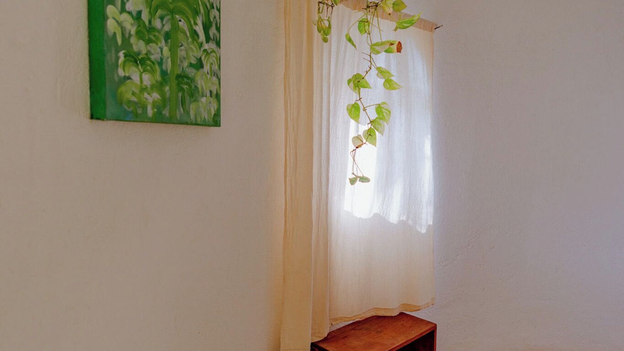 Photo of Bedroom in Troncones