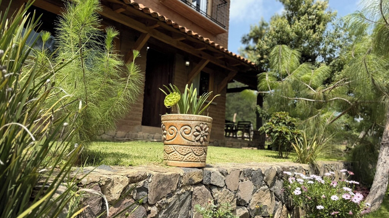 Photo of Livingroom in Tapalpa
