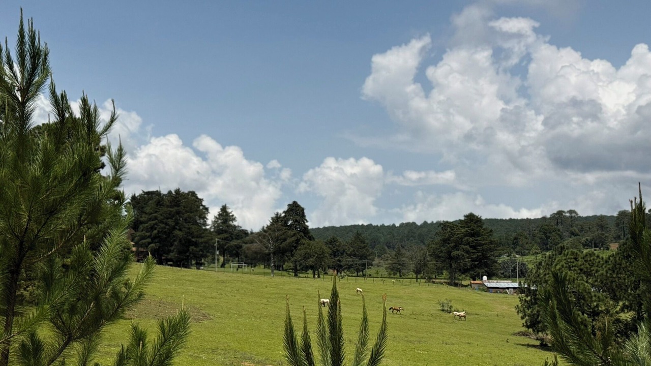 Photo of Livingroom in Tapalpa