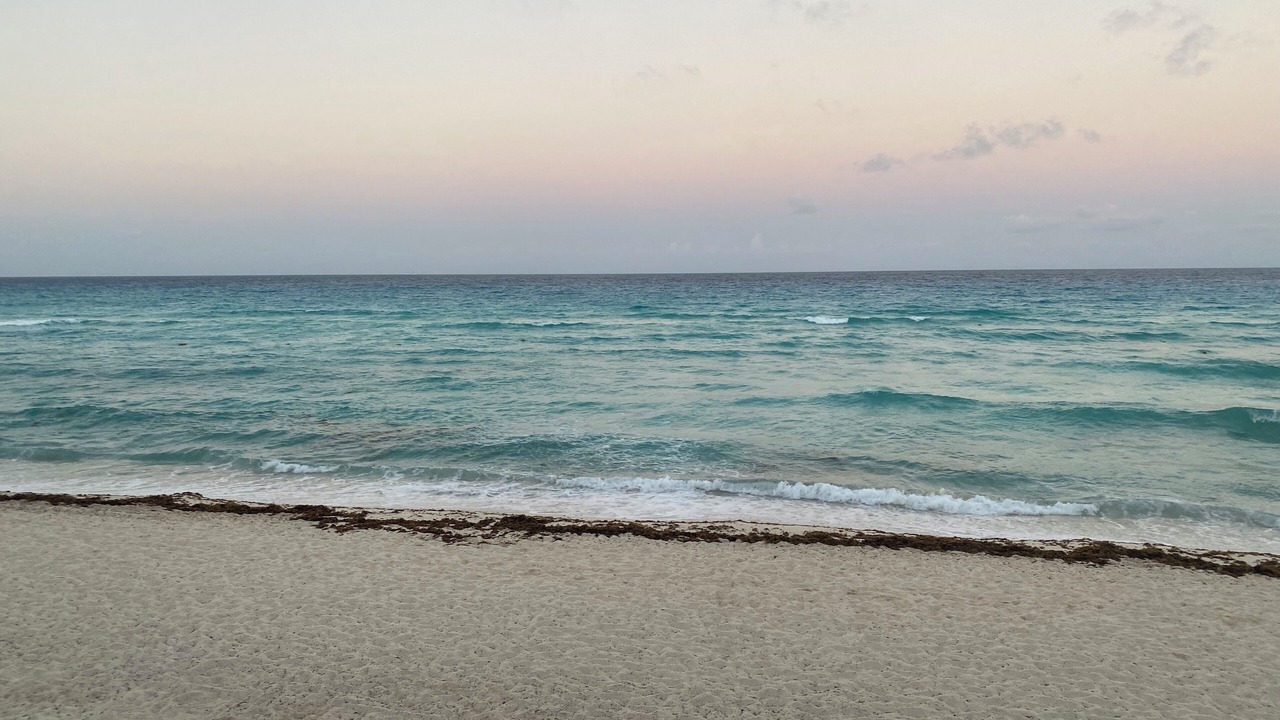 Photo of Outdoor in Downtown Cancun
