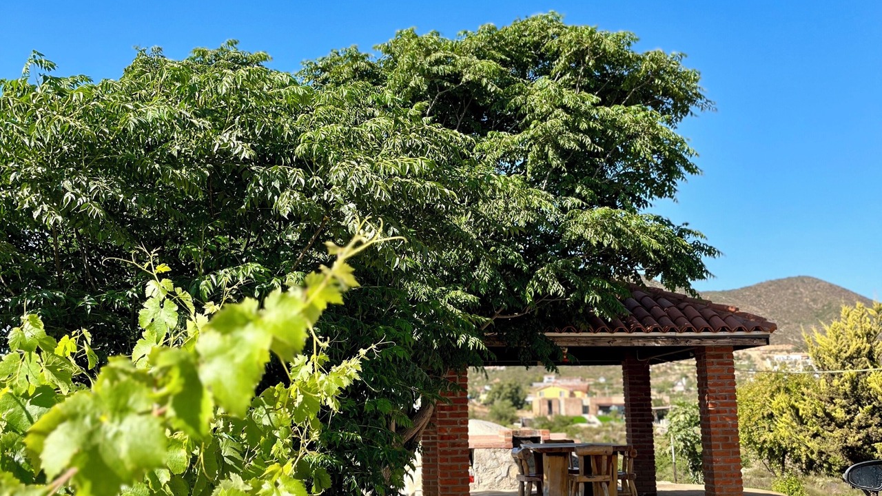 Photo of Outdoor in San Antonio de las Minas