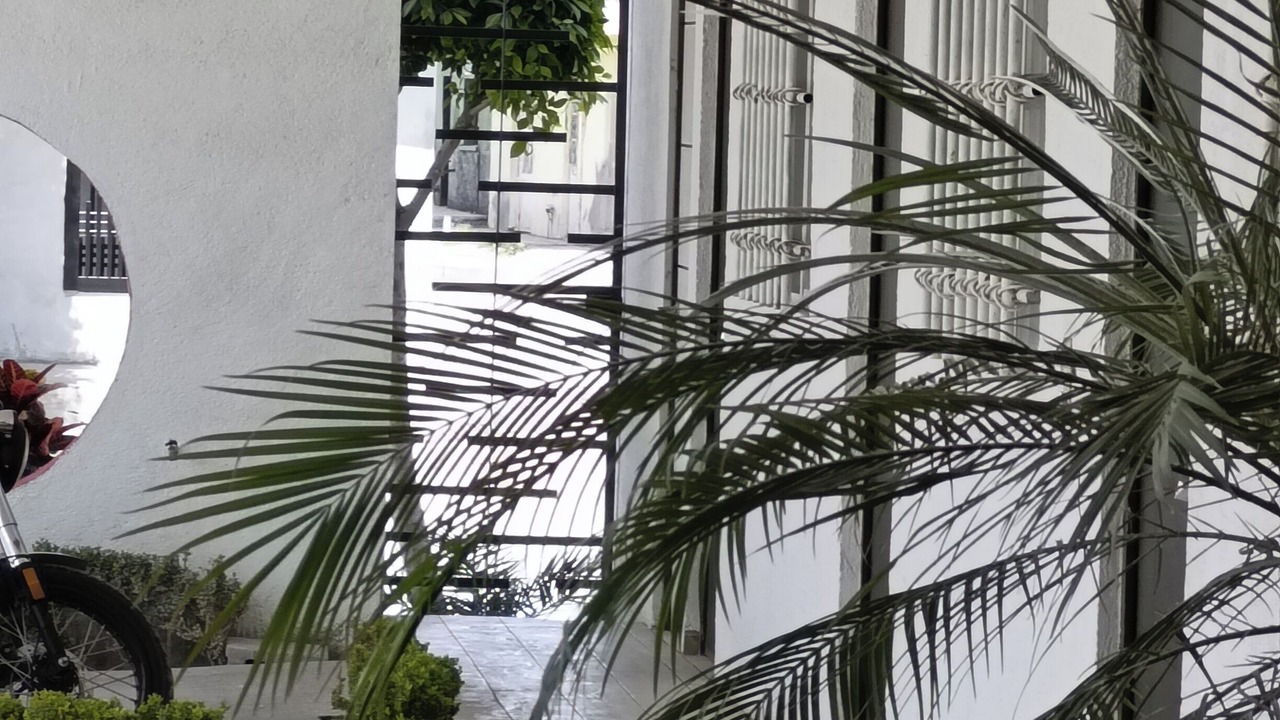 Photo of Outdoor in Matehuala
