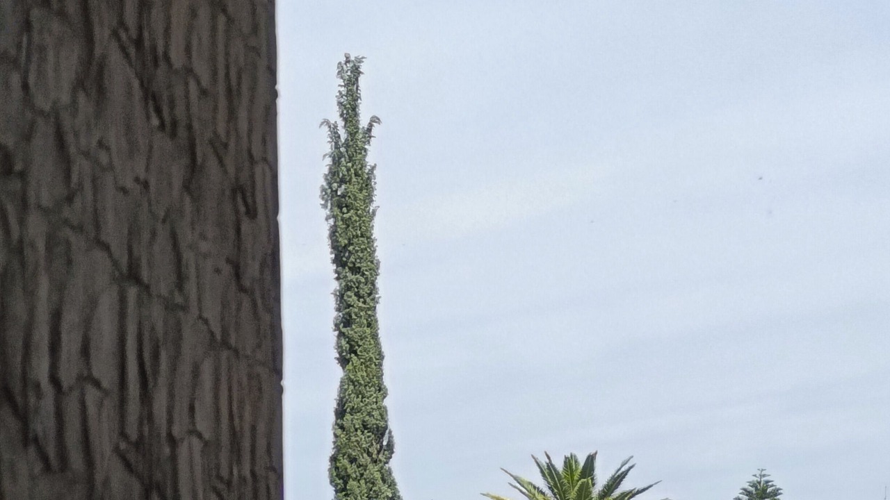Photo of Outdoor in Matehuala