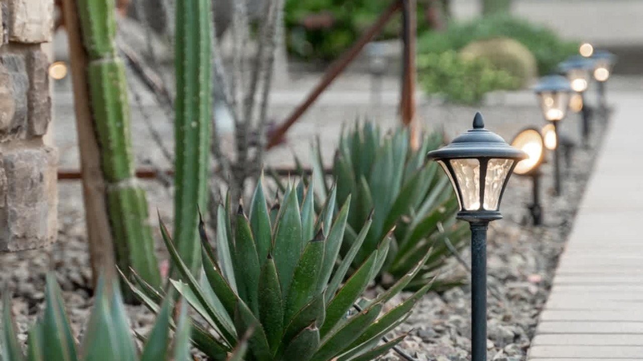 Photo of Outdoor in Phoenix