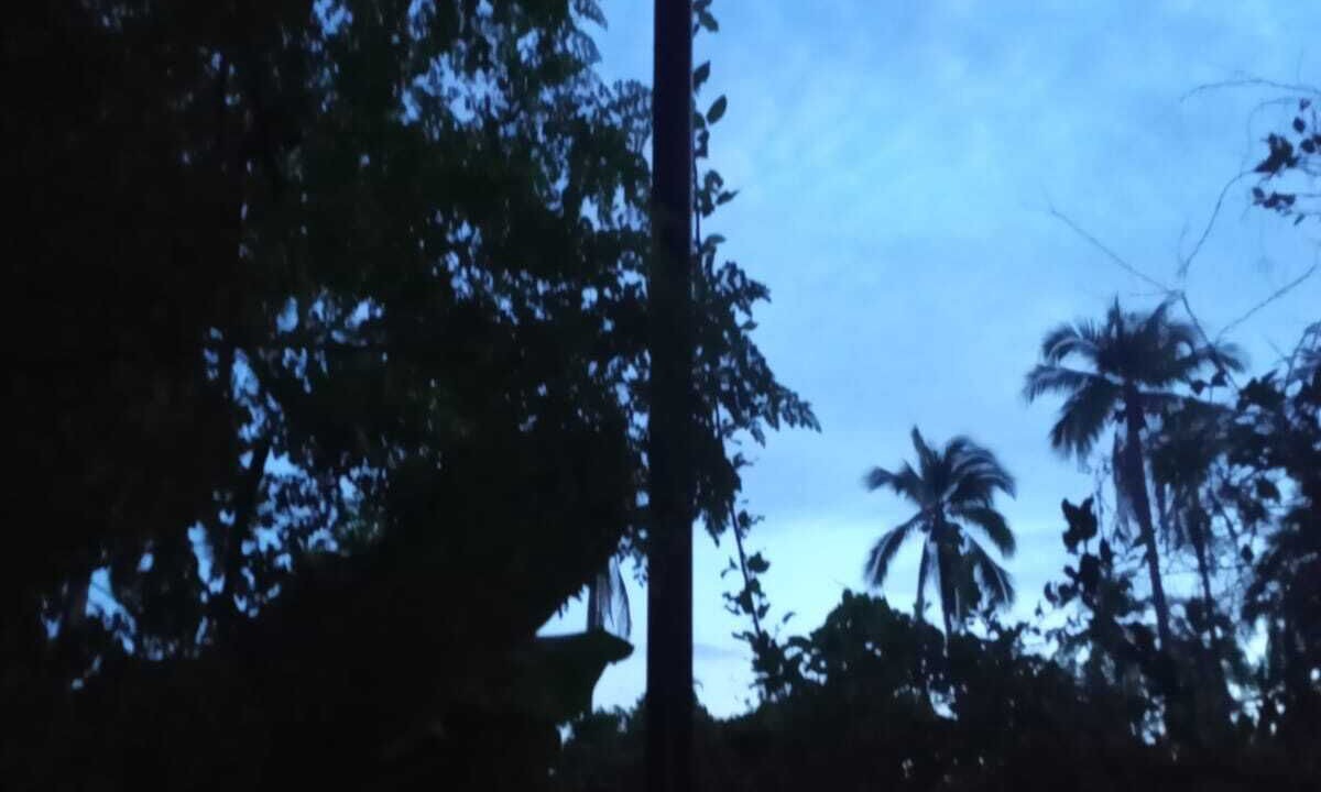 Photo of Others in San Jose Ixtapa