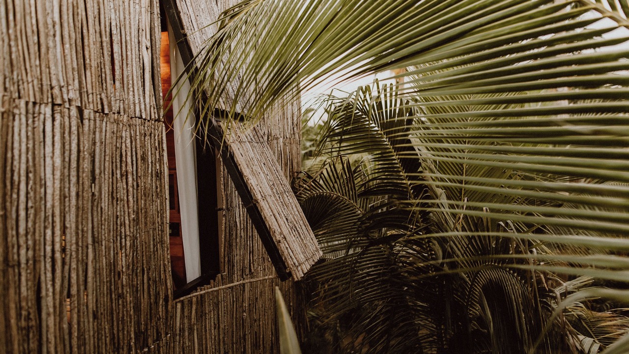 Photo of Bedroom in San Jose del Cabo