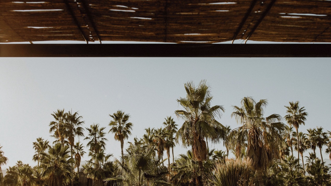 Photo of Patio Balcony in San Jose del Cabo