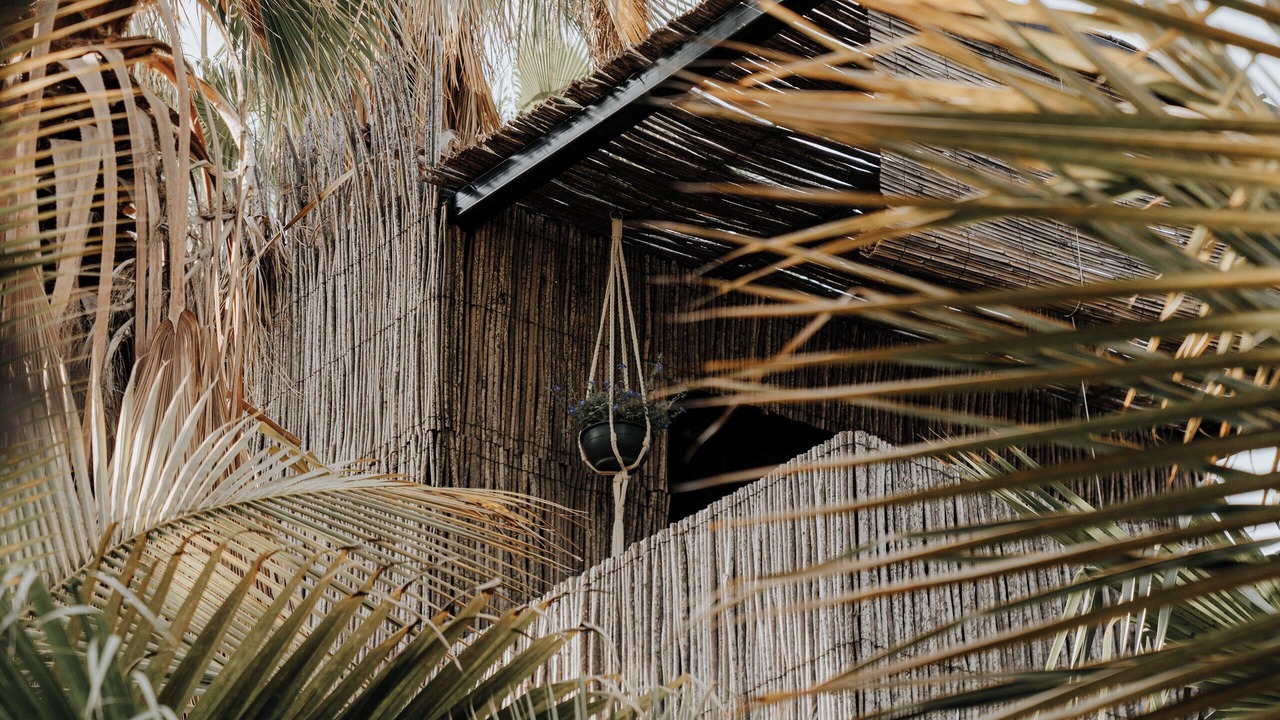 Photo of Bedroom in San Jose del Cabo
