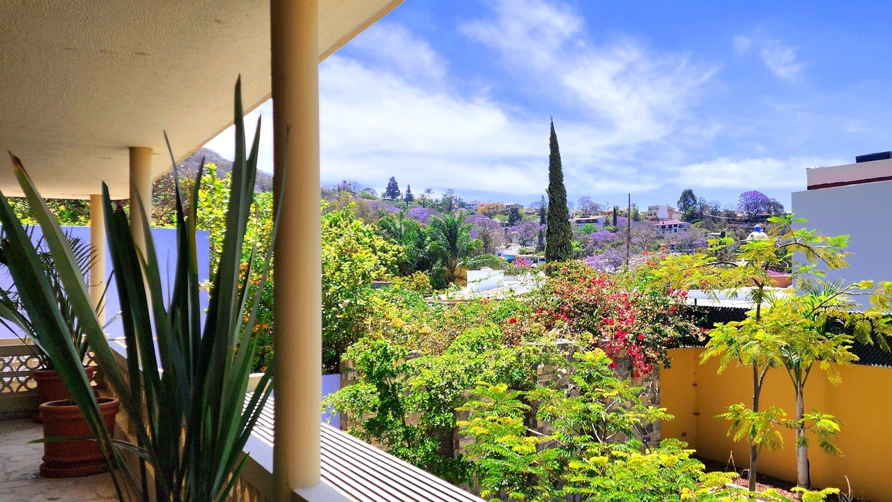 Photo of Outdoor in Ajijic