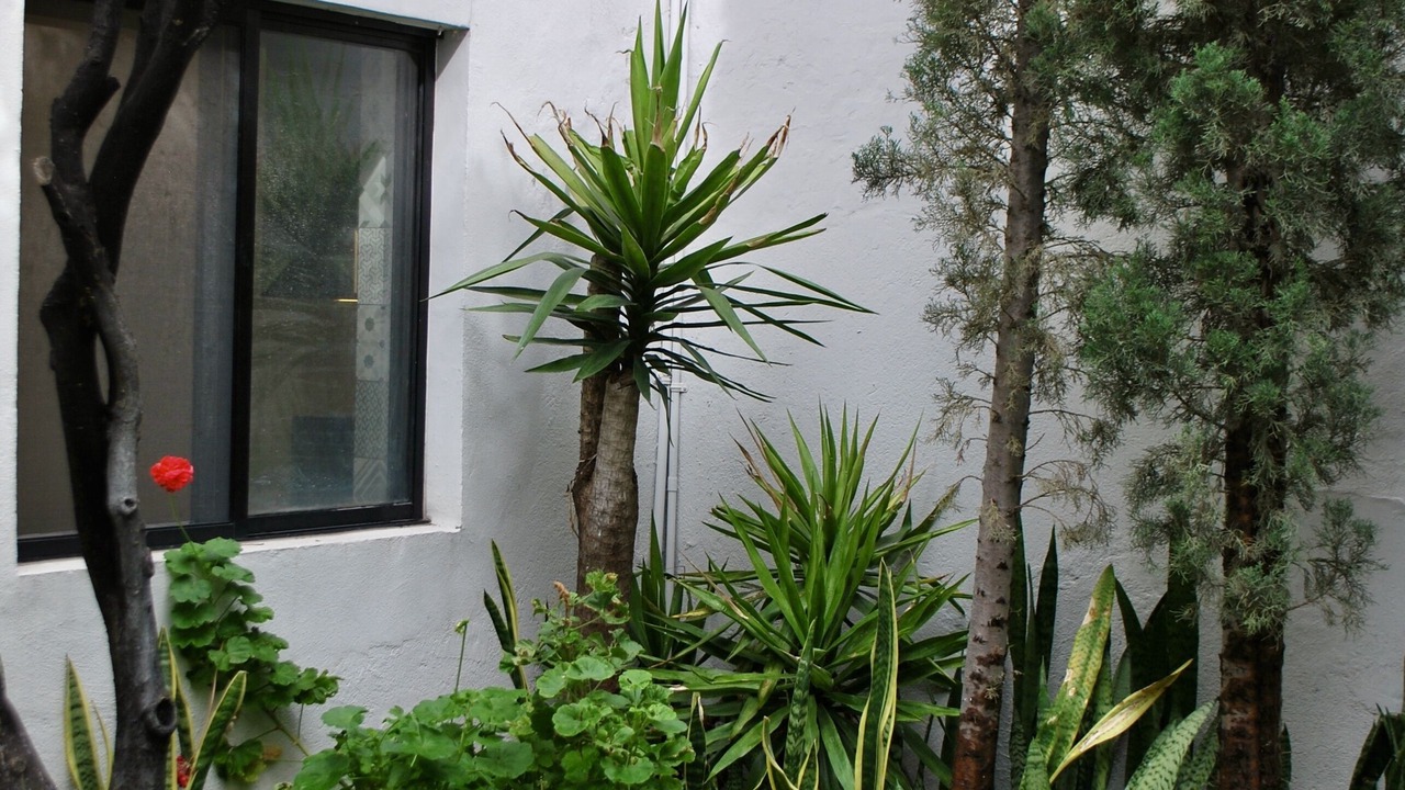 Photo of Outdoor in San Luis Potosi