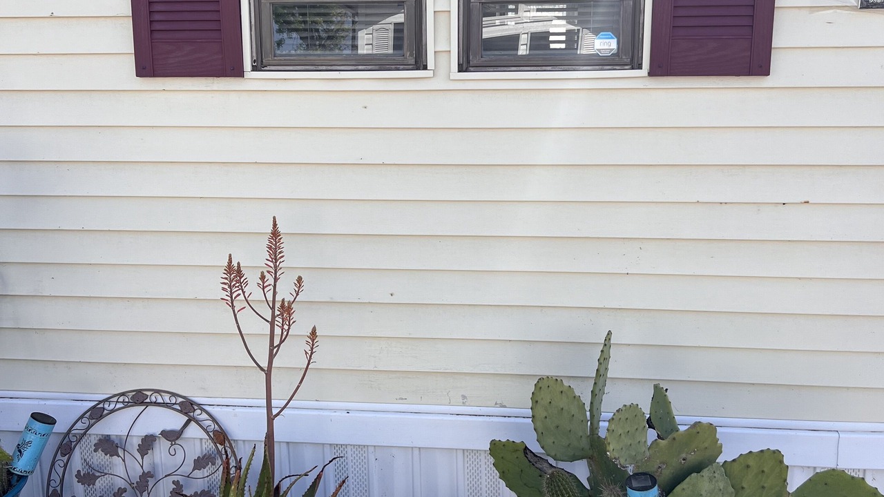 Photo of Outdoor in Palmhurst