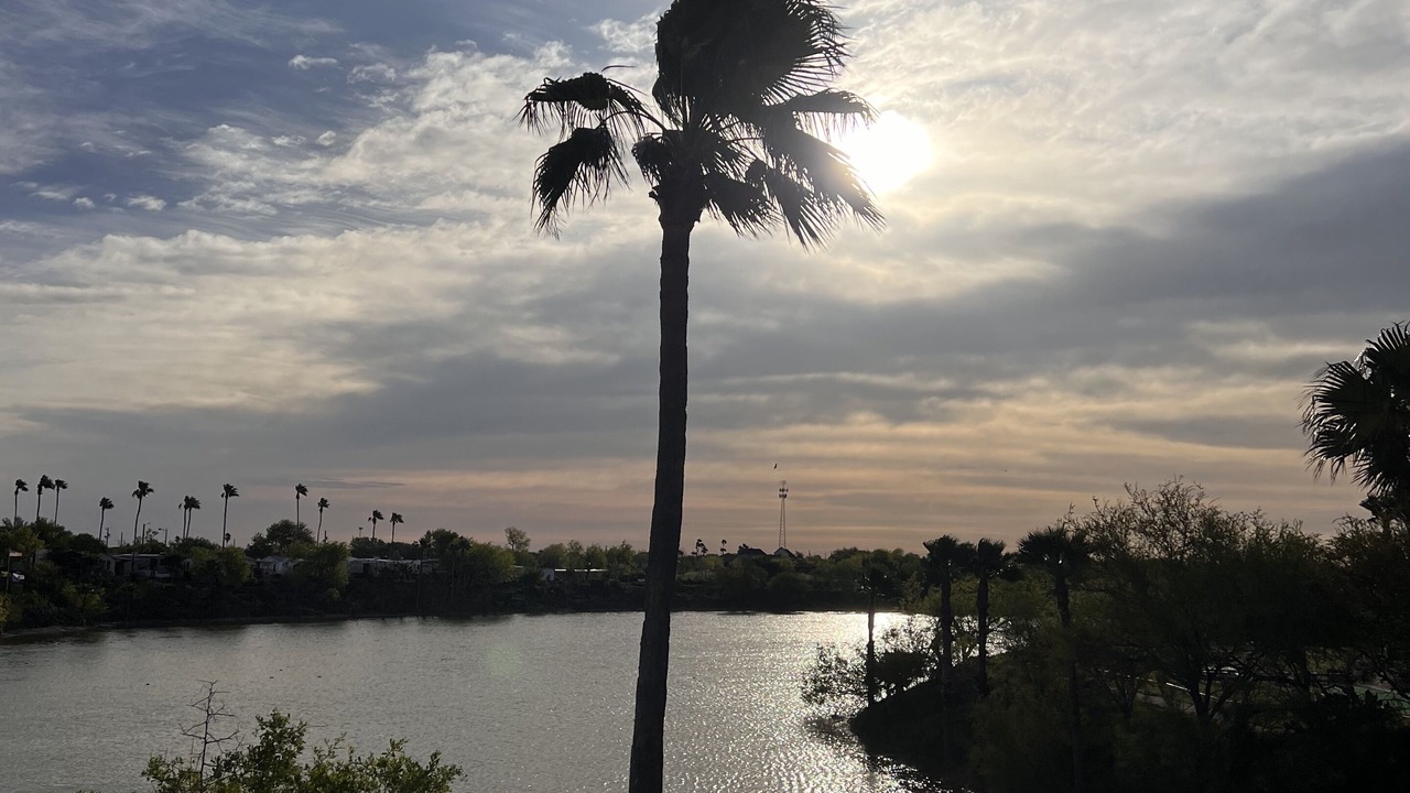 Photo of Outdoor in Palmhurst