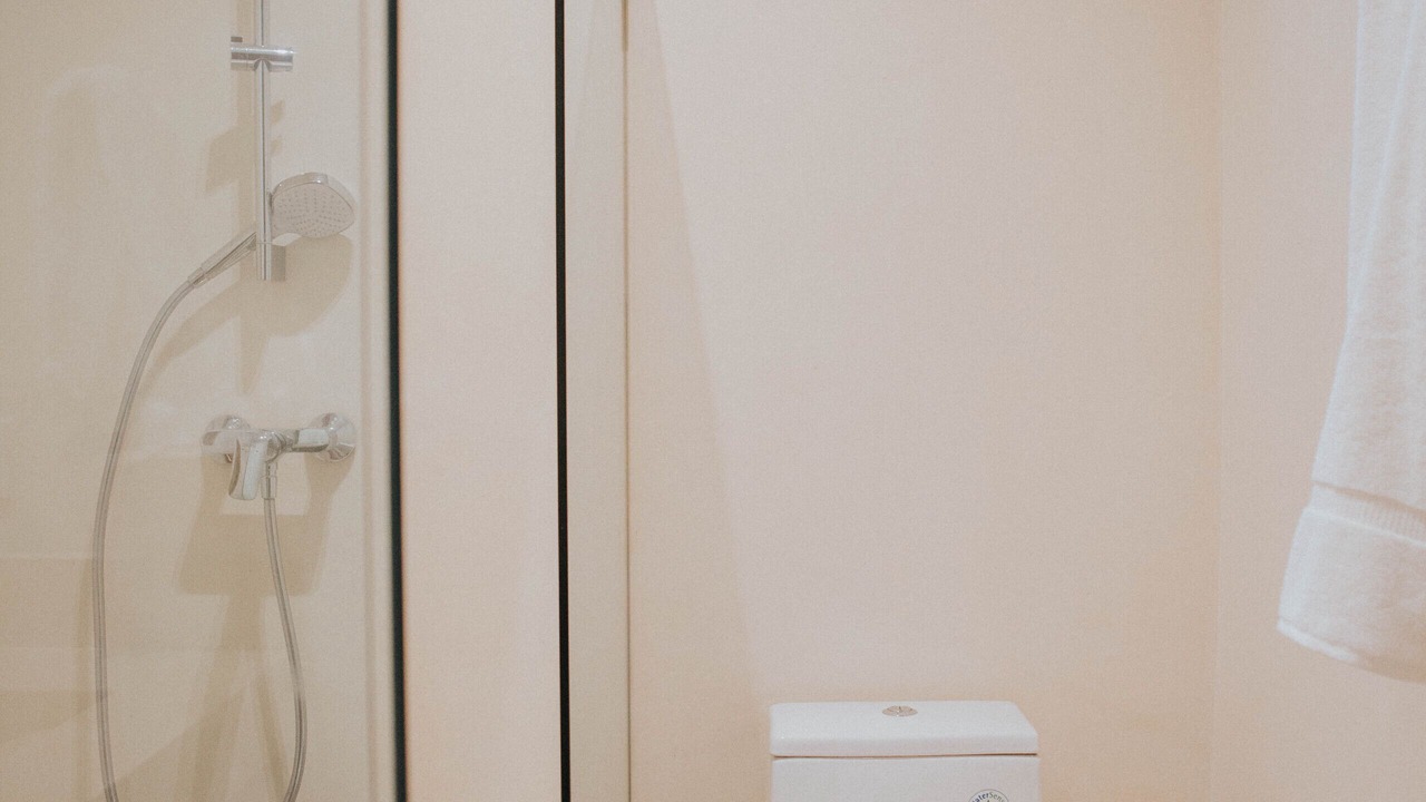 Photo of Bathroom in Zama