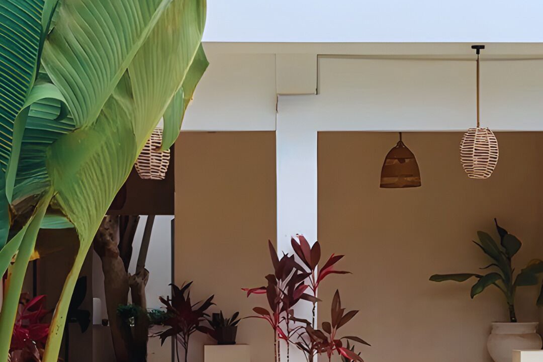 Photo of Outdoor in Chacala
