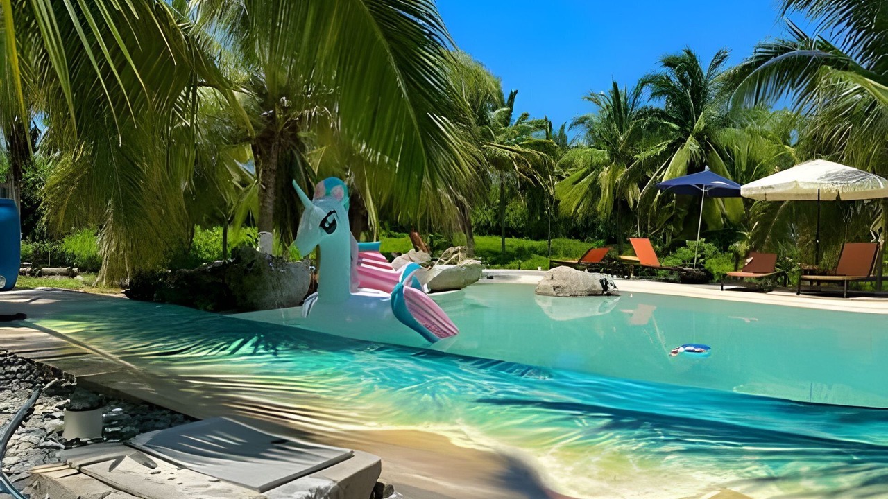 Photo of Outdoor in Saladita