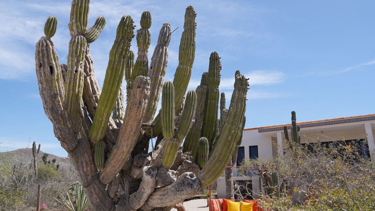 Photo of Outdoor in El Pescadero