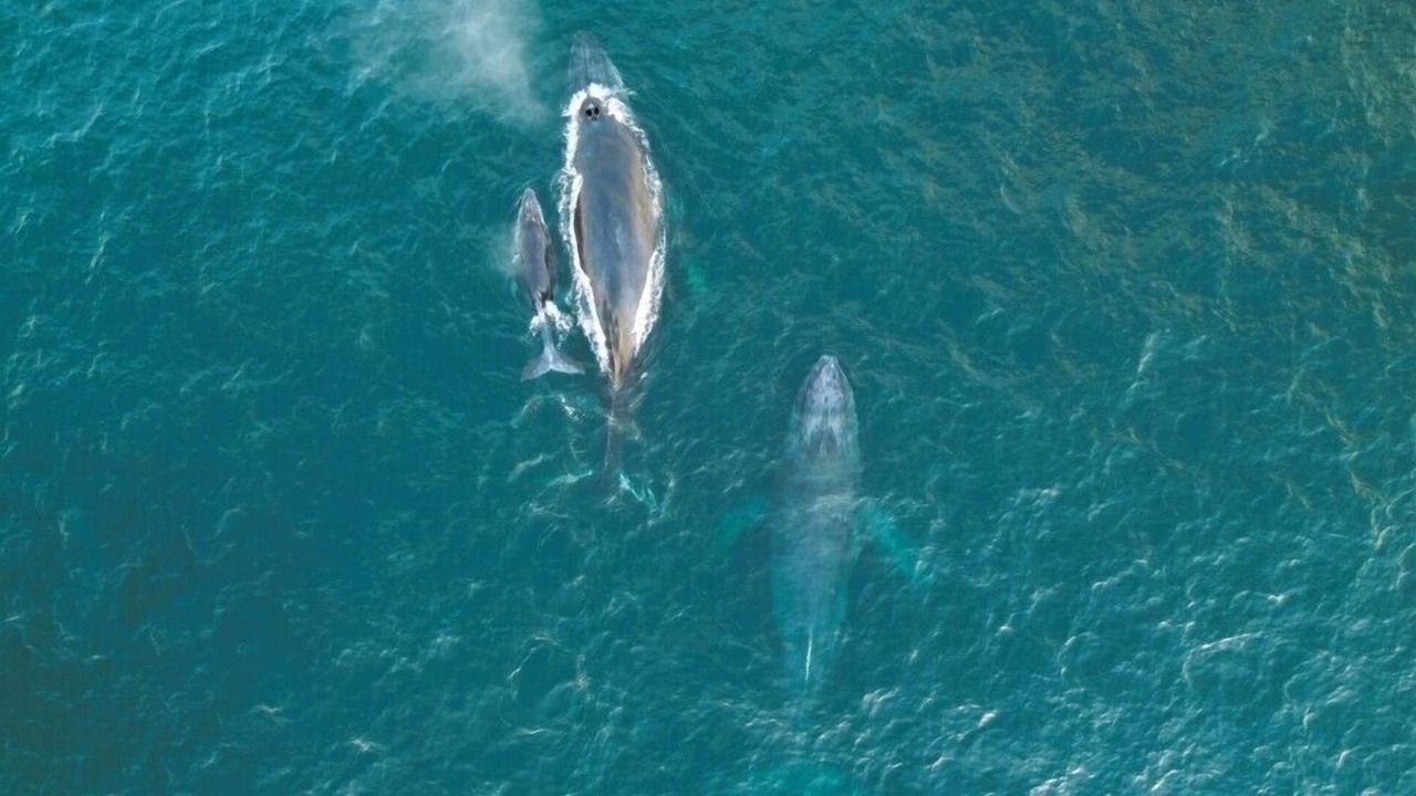 Photo of Others in Santa Maria Huatulco
