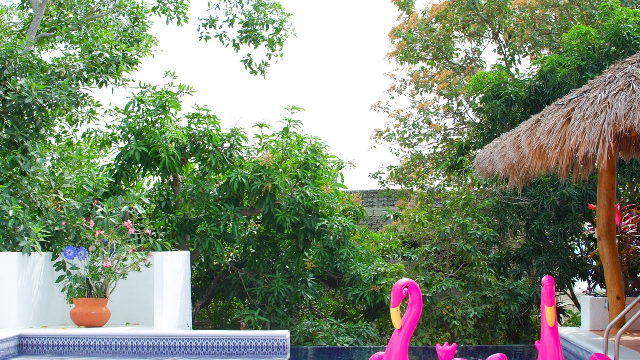 Photo of Outdoor in Abelardo L. Rodriguez