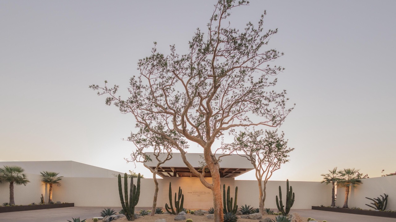 Photo of Outdoor in Cabo San Lucas