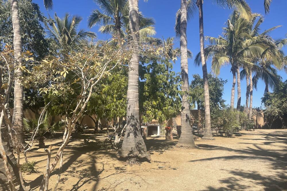 Photo of Patio Balcony in El Pescadero
