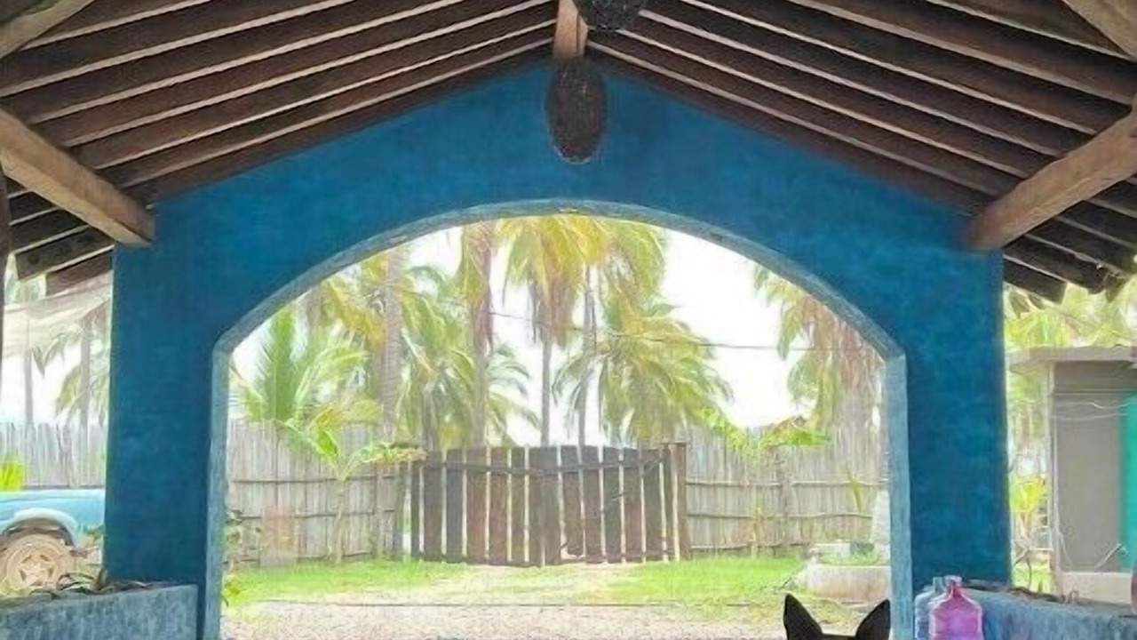 Photo of Outdoor in Saladita