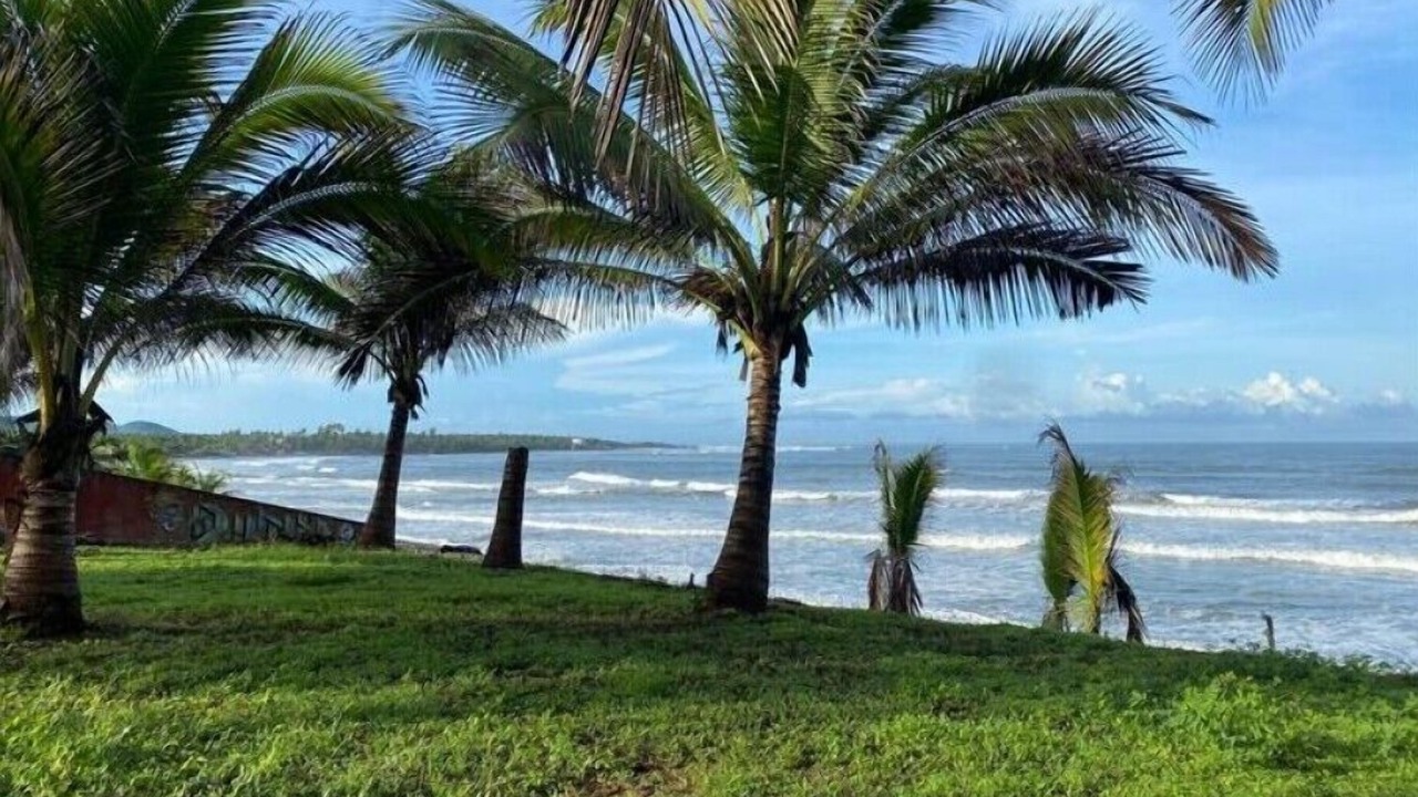 Photo of Outdoor in Saladita