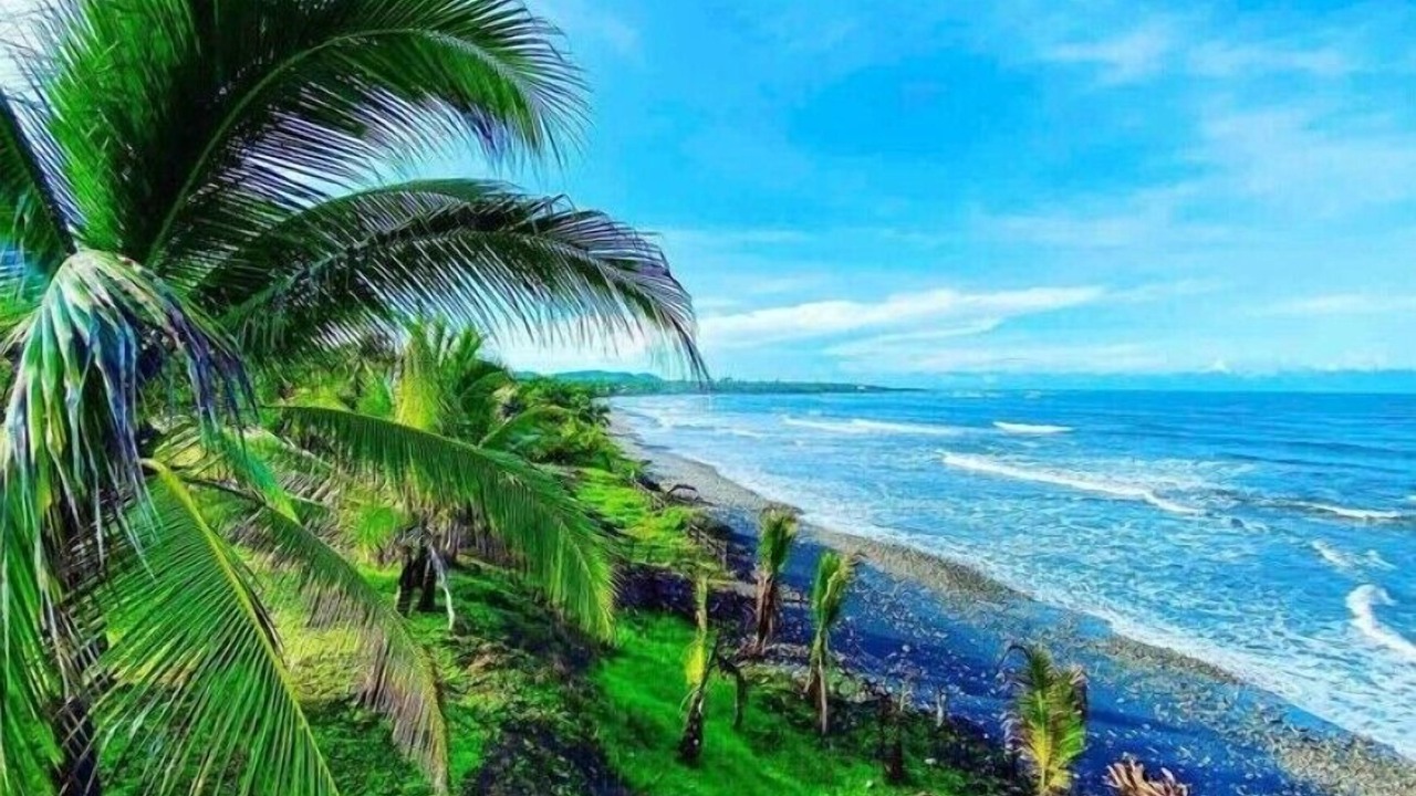 Photo of Outdoor in Saladita