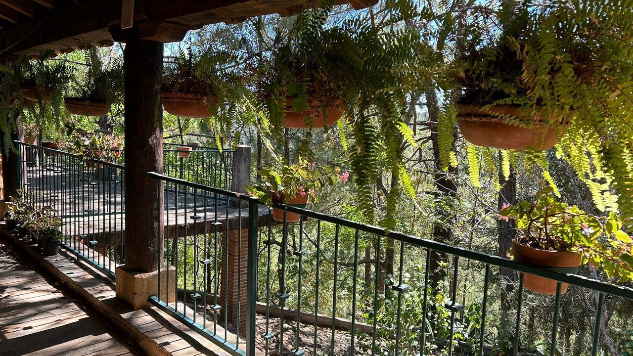 Photo of Outdoor in Mazamitla