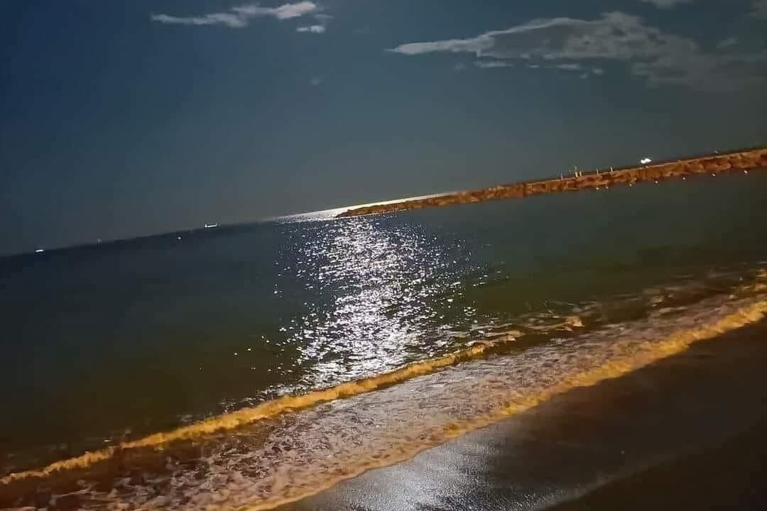 Photo of Others in Mazatlan