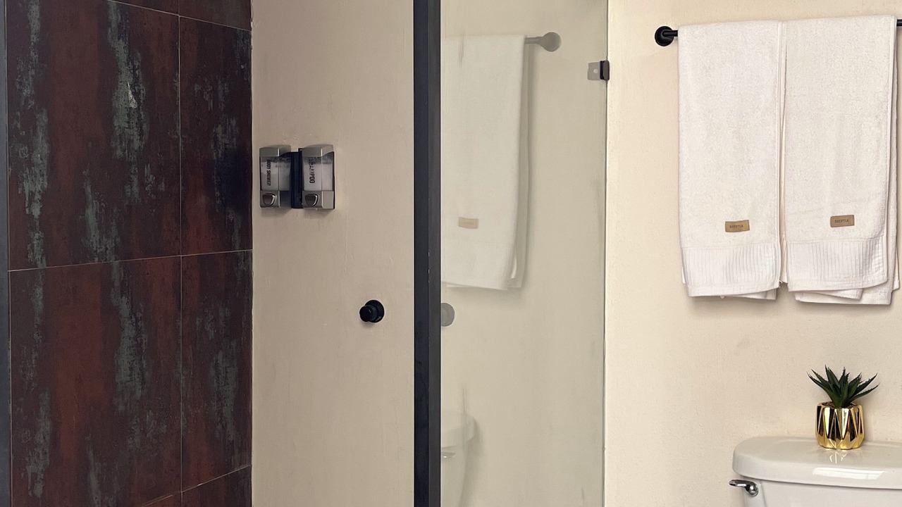 Photo of Bathroom in Guadalajara