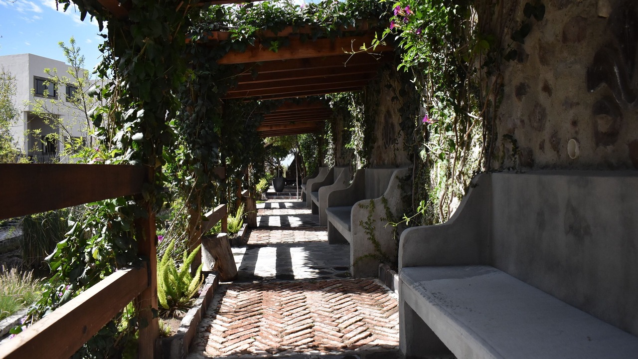 Photo of Outdoor in San Miguel de Allende