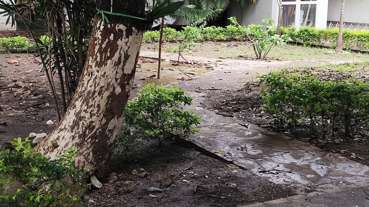 Photo of Kitchen in Zona Centro