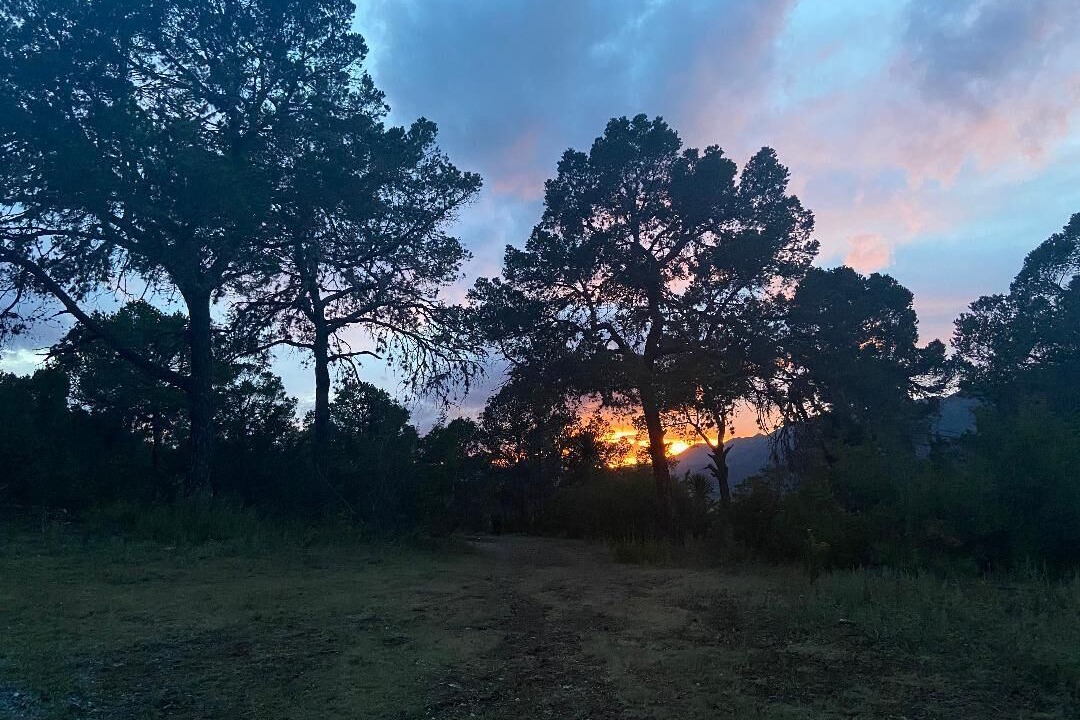 Photo of Outdoor in Arteaga