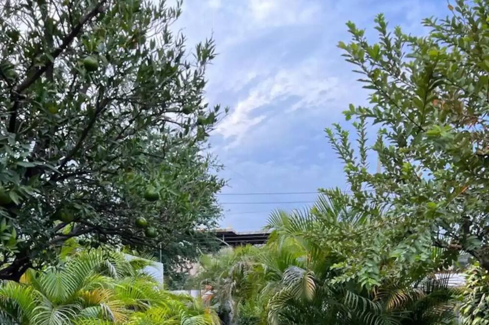 Photo of Outdoor in Guadalajara