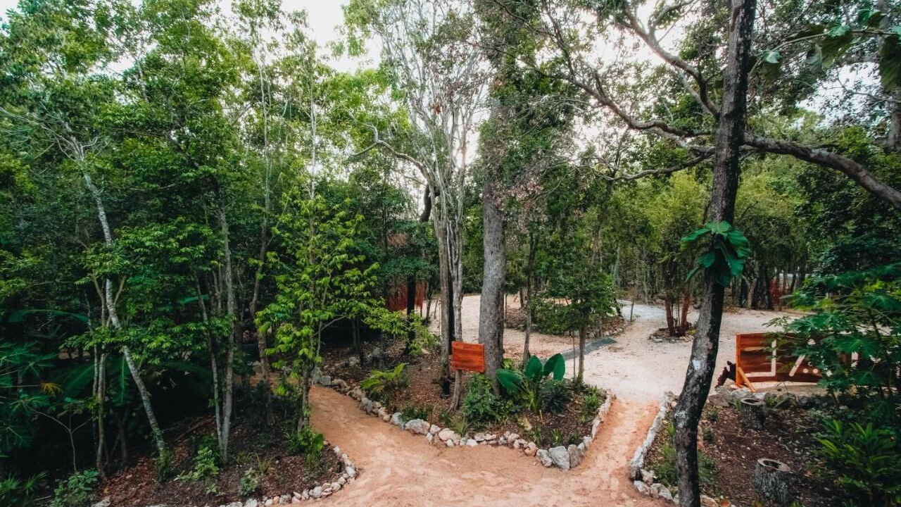Photo of Outdoor in Akumal