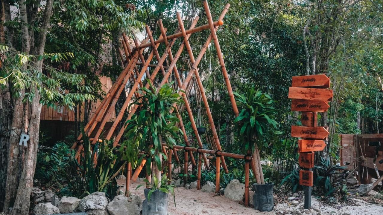 Photo of Outdoor in Akumal