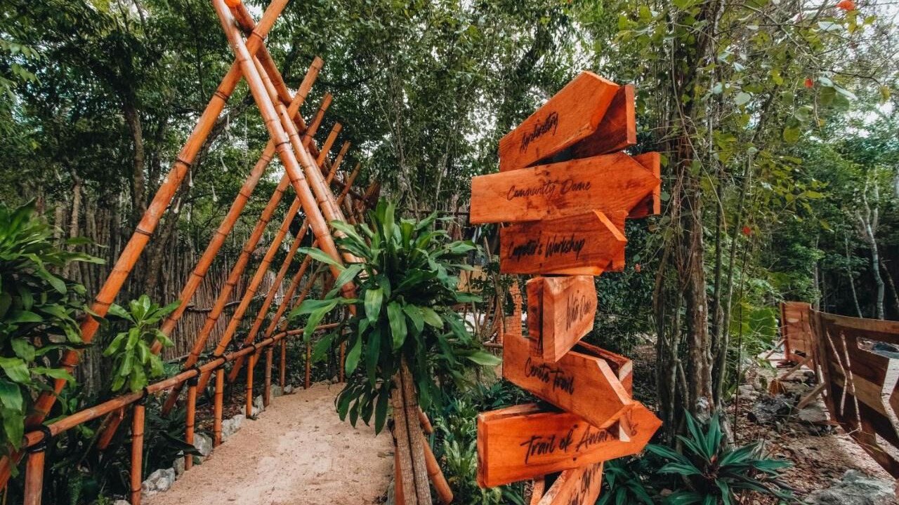 Photo of Outdoor in Akumal