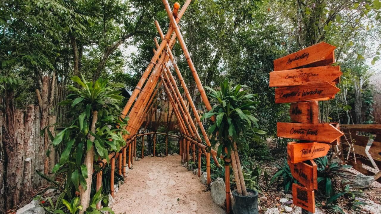 Photo of Outdoor in Akumal
