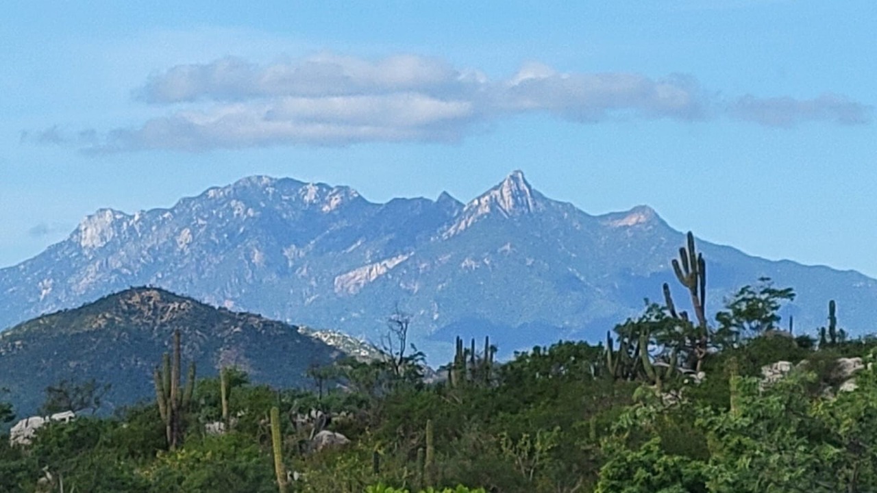 Photo of Others in Los Zacatitos