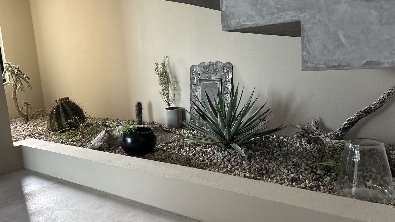 Photo of Outdoor in Los Zacatitos
