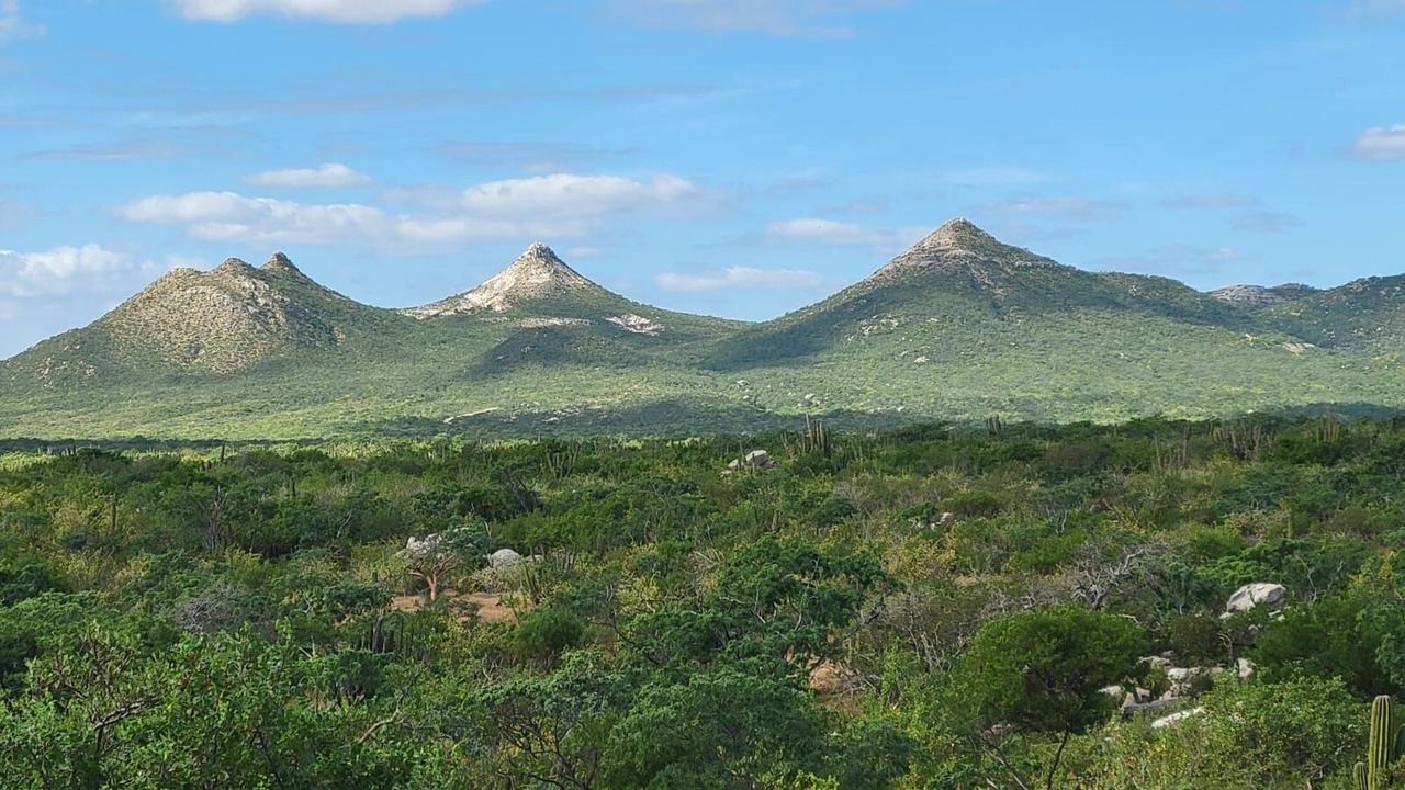 Photo of Others in Los Zacatitos