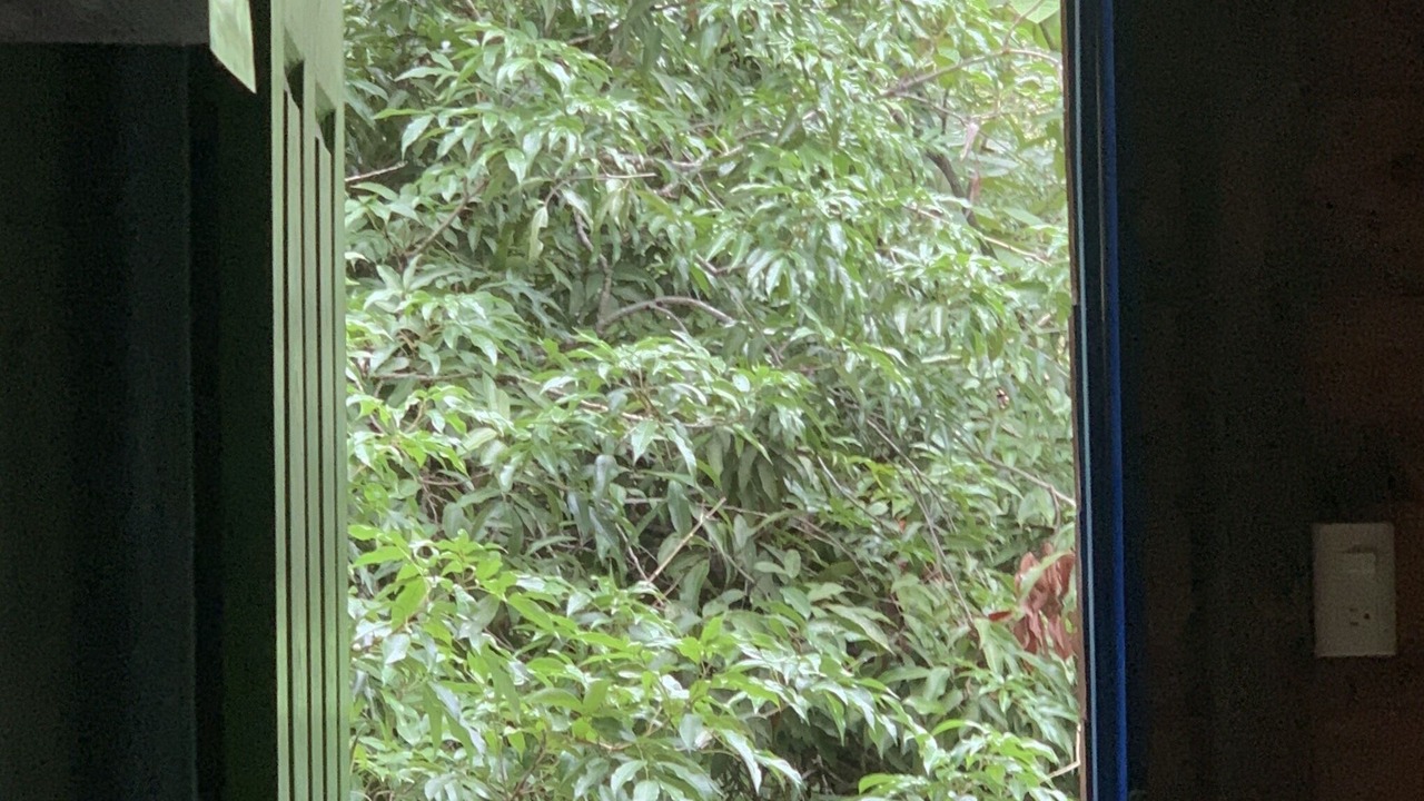 Photo of Outdoor in Huehuetlan
